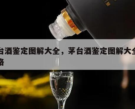 茅台酒鉴定图解大全，茅台酒鉴定图解大全及价格