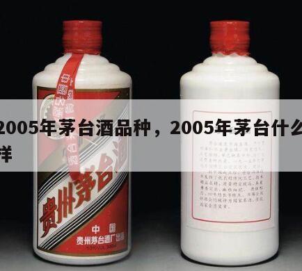 2005年茅台酒品种，2005年茅台什么样