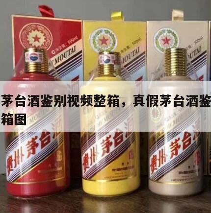 真假茅台酒鉴别视频整箱，真假茅台酒鉴别视频整箱图