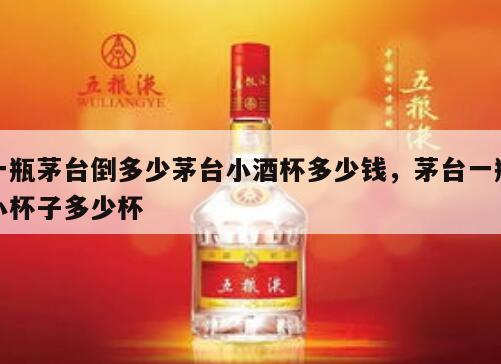 一瓶茅台倒多少茅台小酒杯多少钱，茅台一瓶小杯子多少杯