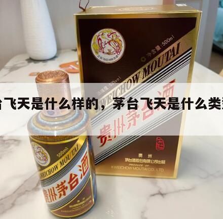 茅台飞天是什么样的，茅台飞天是什么类型的酒