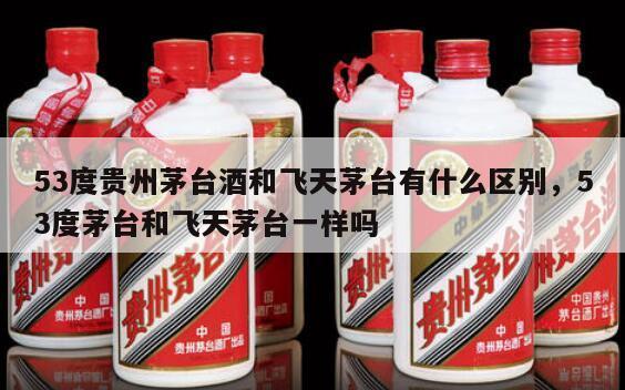 53度贵州茅台酒和飞天茅台有什么区别，53度茅台和飞天茅台一样吗