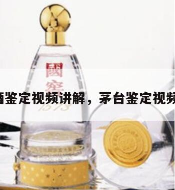 茅台酒鉴定视频讲解，茅台鉴定视频2024
