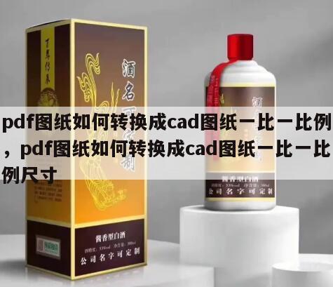 pdf图纸如何转换成cad图纸一比一比例，pdf图纸如何转换成cad图纸一比一比例尺寸