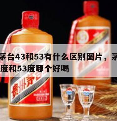 飞天茅台43和53有什么区别图片，茅台飞天43度和53度哪个好喝