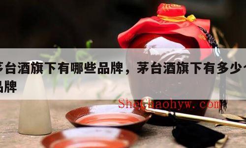 茅台酒旗下有哪些品牌，茅台酒旗下有多少个品牌
