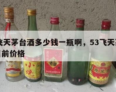 53飞天茅台酒多少钱一瓶啊，53飞天茅台酒目前价格