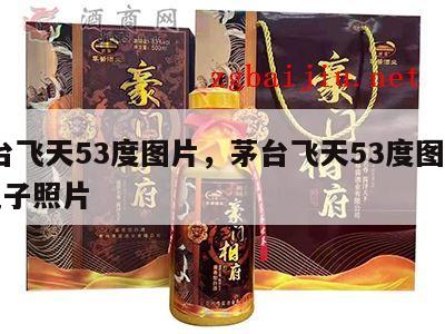 茅台飞天53度图片，茅台飞天53度图片20瓶子照片