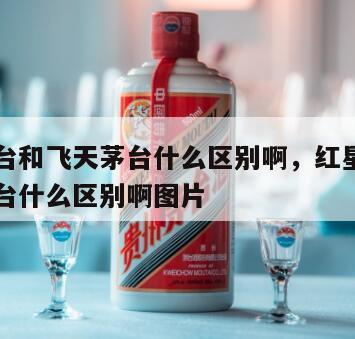 红星茅台和飞天茅台什么区别啊，红星茅台和飞天茅台什么区别啊图片