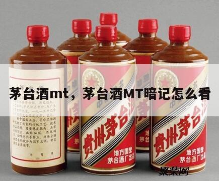 茅台酒mt，茅台酒MT暗记怎么看
