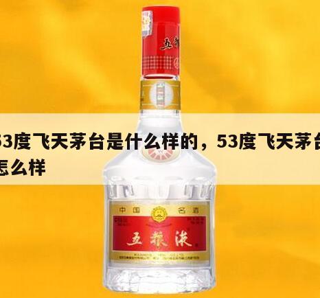 53度飞天茅台是什么样的，53度飞天茅台怎么样