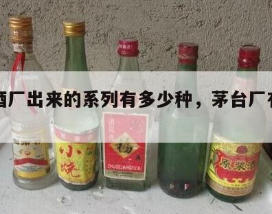 茅台酒厂出来的系列有多少种，茅台厂有几种酒