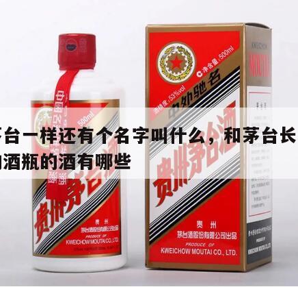 跟茅台一样还有个名字叫什么，和茅台长得一样的酒瓶的酒有哪些