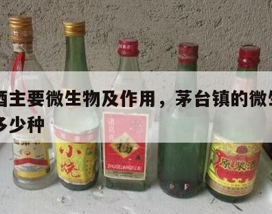 茅台酒主要微生物及作用，茅台镇的微生物一共有多少种