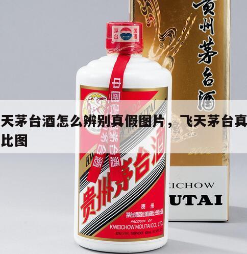 飞天茅台酒怎么辨别真假图片，飞天茅台真假对比图