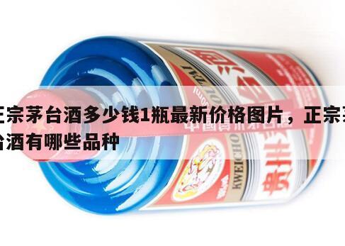 正宗茅台酒多少钱1瓶最新价格图片，正宗茅台酒有哪些品种