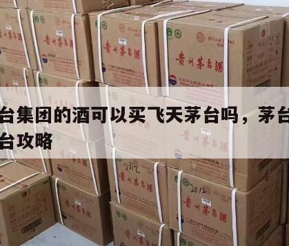 买茅台集团的酒可以买飞天茅台吗，茅台集团买茅台攻略