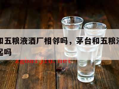 茅台和五粮液酒厂相邻吗，茅台和五粮液酒厂在一起吗