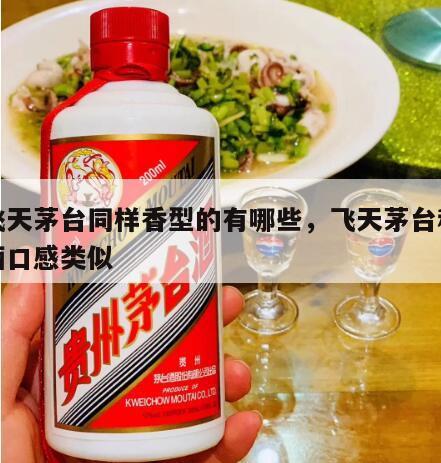和飞天茅台同样香型的有哪些，飞天茅台和哪种酒口感类似