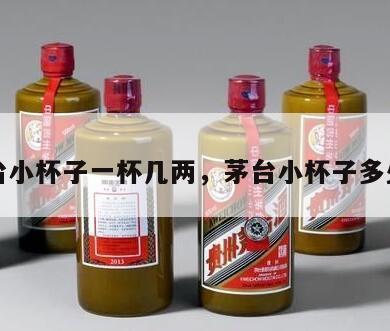 茅台小杯子一杯几两，茅台小杯子多少克