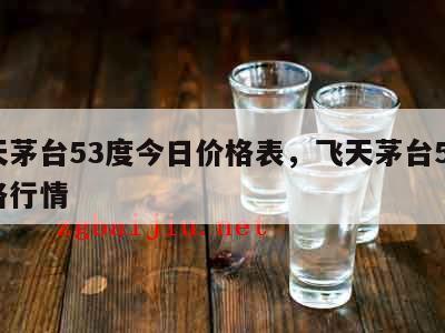 飞天茅台53度今日价格表，飞天茅台53度价格行情