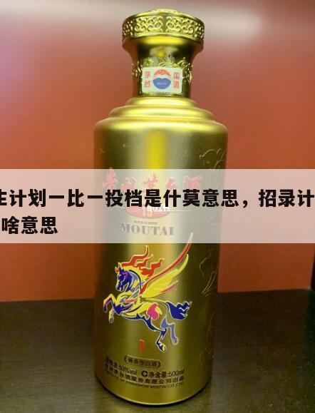 招生计划一比一投档是什莫意思，招录计划11是啥意思