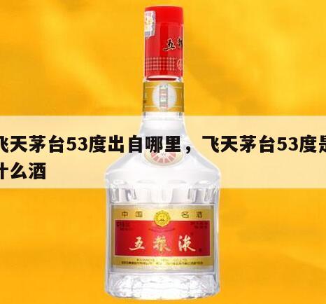 飞天茅台53度出自哪里，飞天茅台53度是什么酒