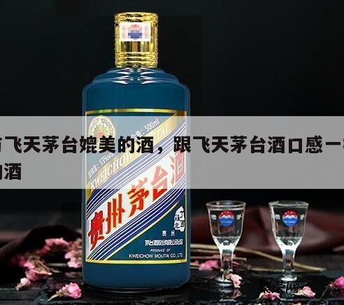 与飞天茅台媲美的酒，跟飞天茅台酒口感一样的酒