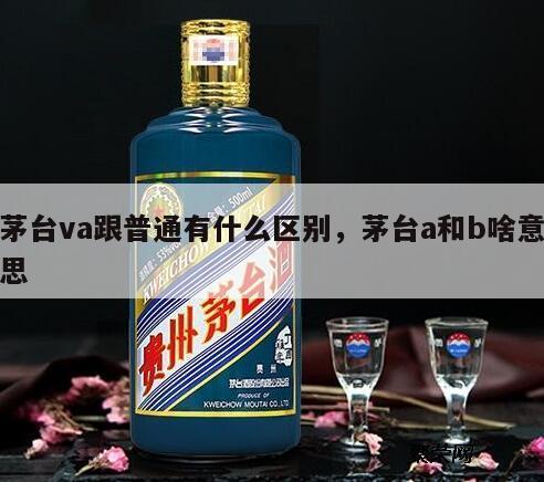 茅台va跟普通有什么区别，茅台a和b啥意思