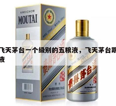 和飞天茅台一个级别的五粮液，飞天茅台跟五粮液