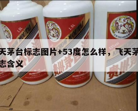 飞天茅台标志图片+53度怎么样，飞天茅台标志含义