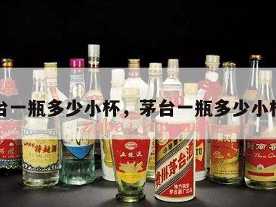 茅台一瓶多少小杯，茅台一瓶多少小杯酒