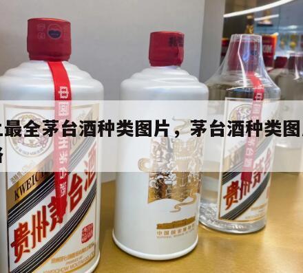 史上最全茅台酒种类图片，茅台酒种类图片及价格
