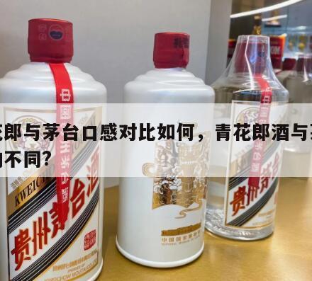 青花郎与茅台口感对比如何，青花郎酒与茅台酒的不同?