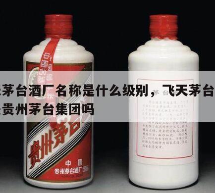 飞天茅台酒厂名称是什么级别，飞天茅台的厂家是贵州茅台集团吗