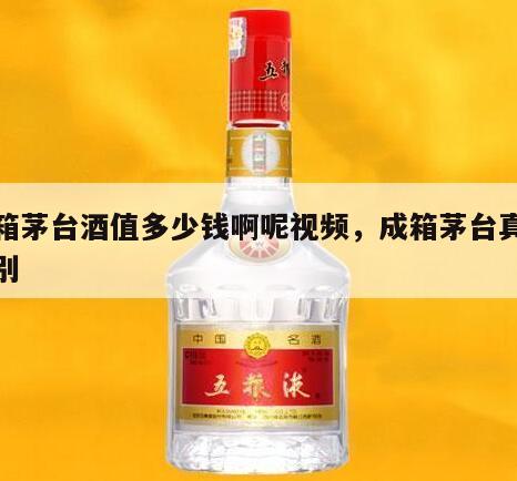 成箱茅台酒值多少钱啊呢视频，成箱茅台真假鉴别