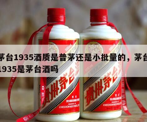 茅台1935酒质是普茅还是小批量的，茅台1935是茅台酒吗