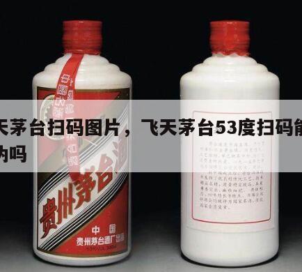 飞天茅台扫码图片，飞天茅台53度扫码能验真伪吗