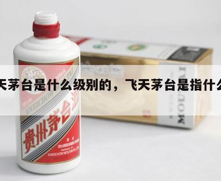 飞天茅台是什么级别的，飞天茅台是指什么型号