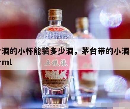 茅台酒的小杯能装多少酒，茅台带的小酒杯是多少ml