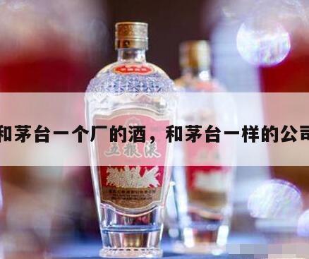 和茅台一个厂的酒，和茅台一样的公司