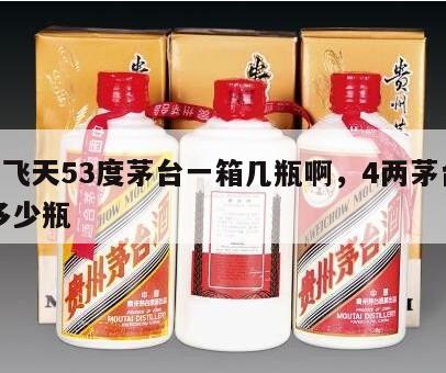 4两飞天53度茅台一箱几瓶啊，4两茅台一箱多少瓶