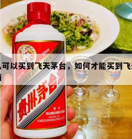 怎么可以买到飞天茅台，如何才能买到飞天茅台酒