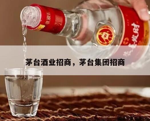 茅台酒业招商，茅台集团招商