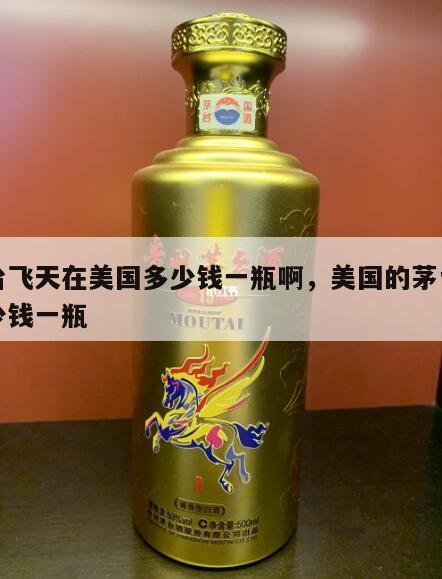 茅台飞天在美国多少钱一瓶啊，美国的茅台酒多少钱一瓶