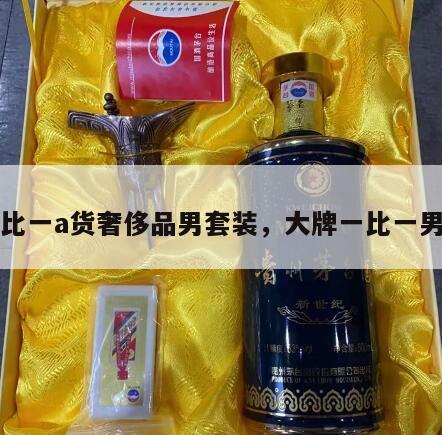 一比一a货奢侈品男套装，大牌一比一男装