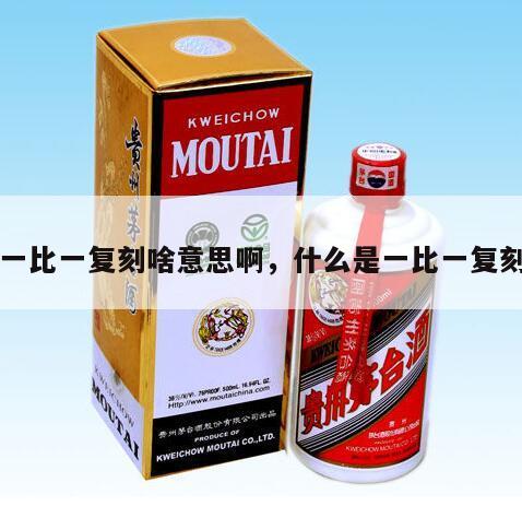 一比一复刻啥意思啊，什么是一比一复刻