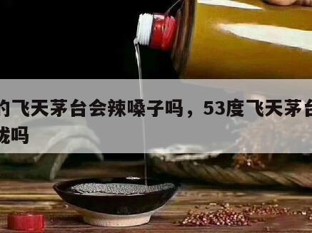 真的飞天茅台会辣嗓子吗，53度飞天茅台辣喉咙吗
