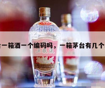 茅台一箱酒一个编码吗，一箱茅台有几个袋子