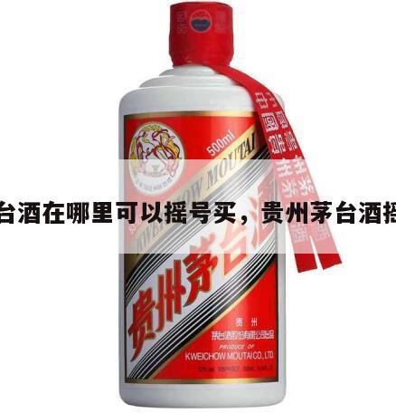 茅台酒在哪里可以摇号买，贵州茅台酒摇号